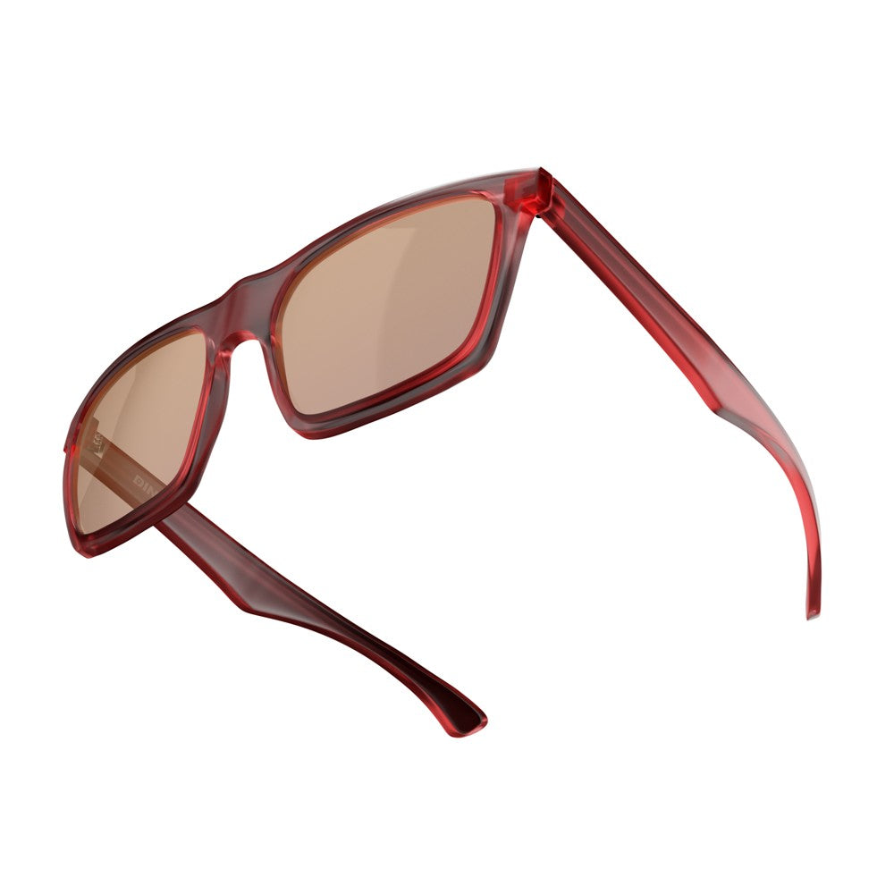 Brown Polarized